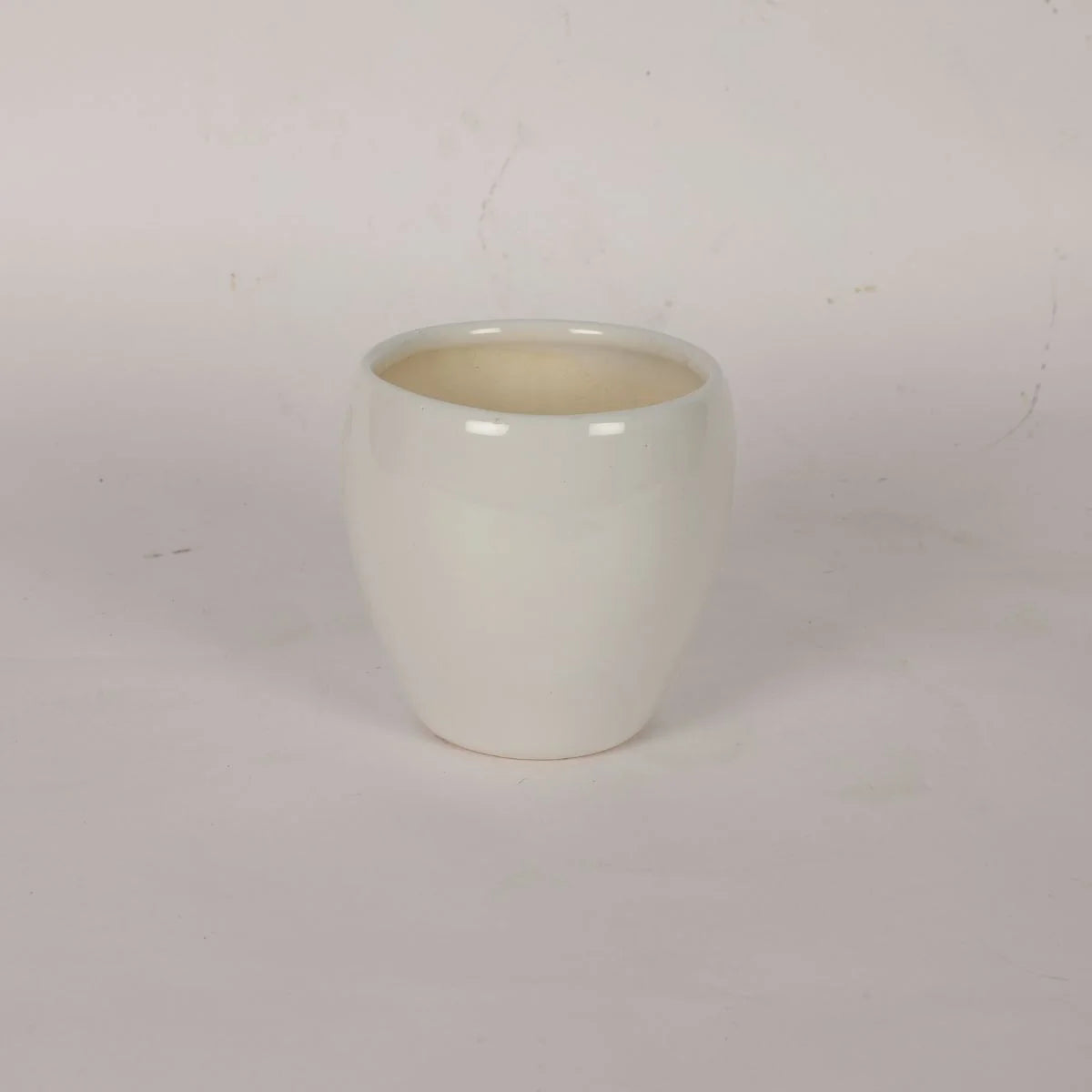 Classic Rounded White Ceramic Pot Minimalist Planter for Home Decor