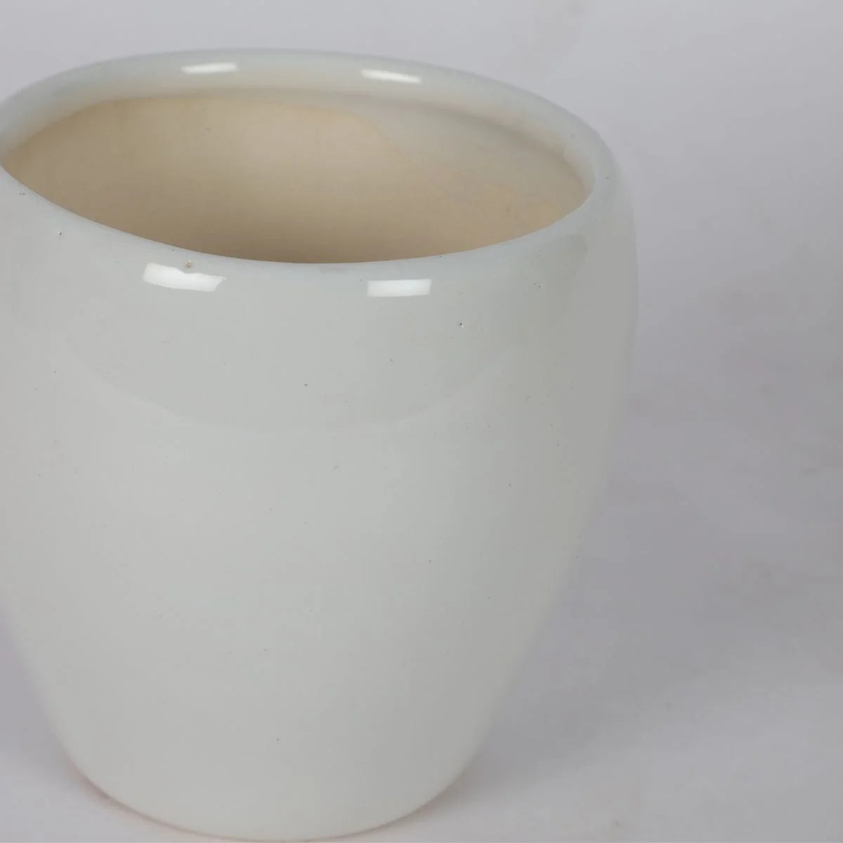 Classic Rounded White Ceramic Pot Minimalist Planter for Home Decor